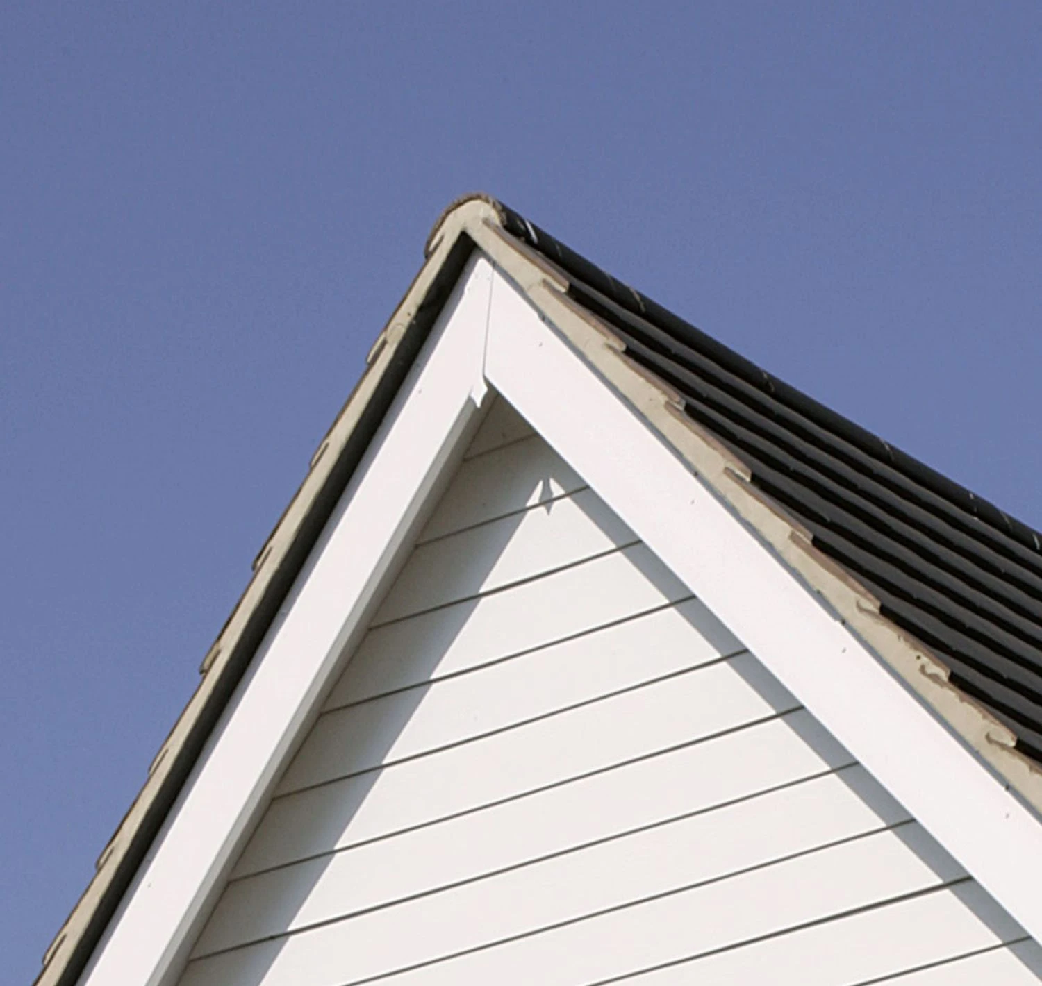 White Smooth Standard Fascia Euroboard - Length 5m X Width 175mm - Image 3